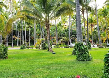Los Tules Ocean Front Resort hotel thumbnail 6