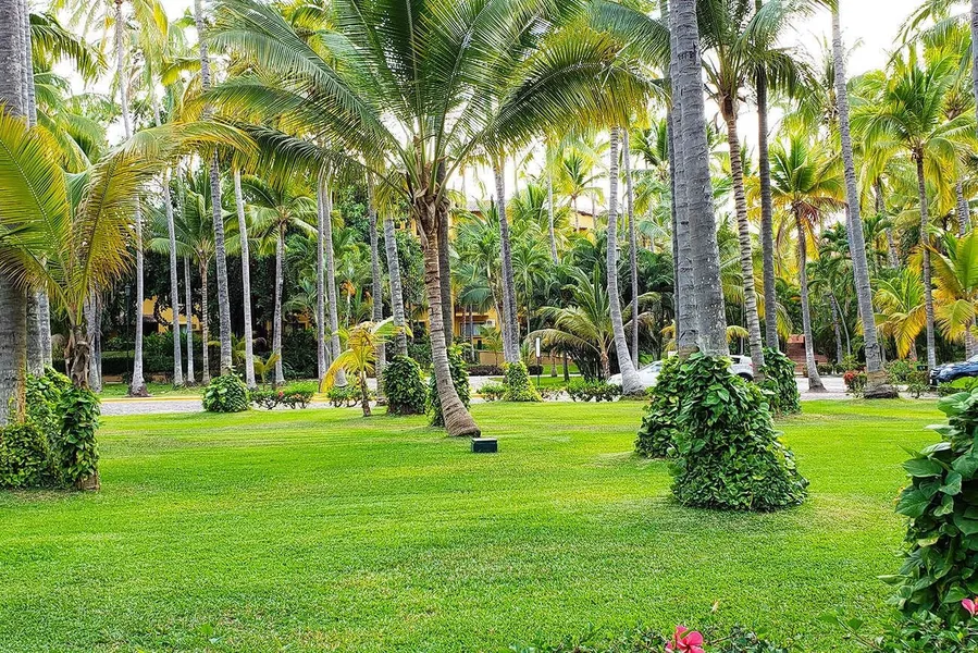 Los Tules Ocean Front Resort hotel detail image 6