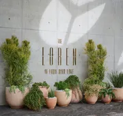 The Loren Hotel Austin hotel detail image 3