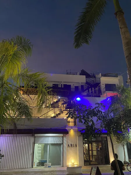 Hotel Aria Quinta Avenida & Rooftop Playa del Carmen hotel detail image 2