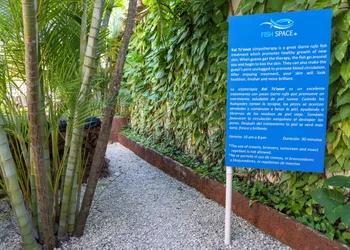 Azcapri Villa-Boutique & Spa hotel thumbnail 8