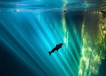 Hotel Boutique Cenote Secreto Maya hotel thumbnail 6