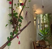 sunsteps casa holbox hotel detail image 5