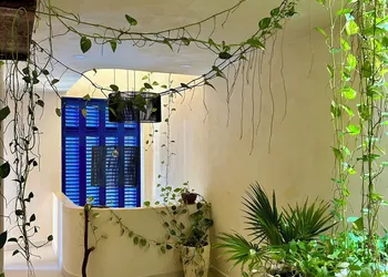 sunsteps casa holbox hotel thumbnail 6