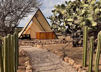 Hotel coyote hotel thumbnail 2
