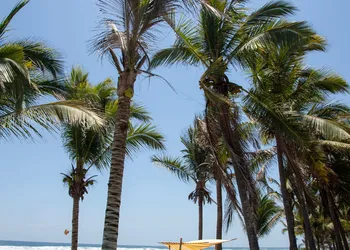 Pomelo Hotel Boutique hotel thumbnail 3