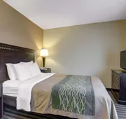 Spark by Hilton Woburn Boston hotel detail image 3
