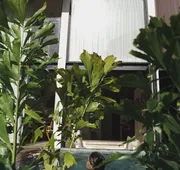 Trobbu Boutique Collection Tulum - All Inclusive hotel detail image 4