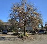 Rocklin Park Hotel, Trademark Collection by Wyndham hotel detail image 5
