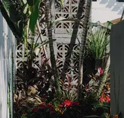 Villa Cobojo hotel detail image 4