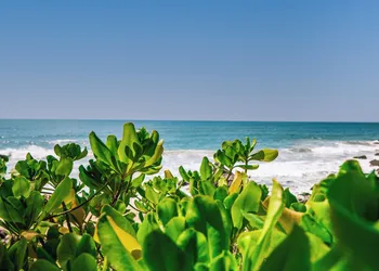 Haramara Retreat hotel thumbnail 4