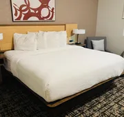 Best Western Plus Pearland/Houston Medical Center Hotel hotel detail image 3