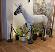 Unicorn Zebra hotel detail image 5