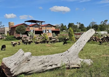Cabañas El Campo hotel thumbnail 6