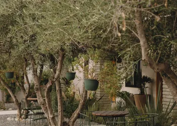 Casa Olivea hotel thumbnail 2