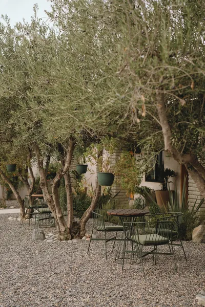 Casa Olivea hotel detail image 2