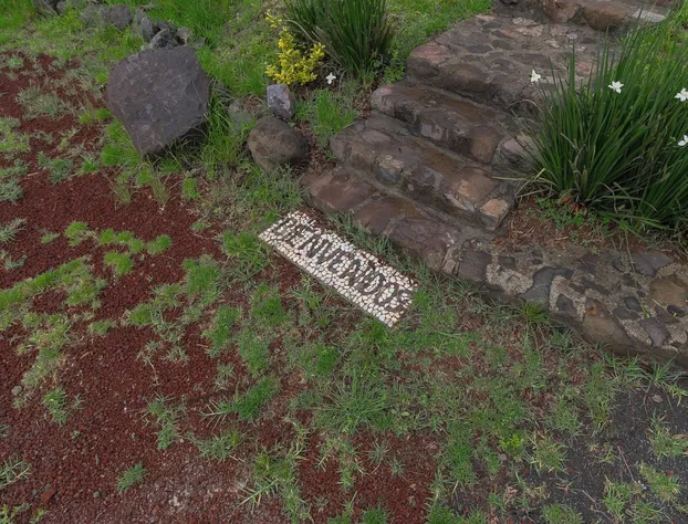 Finca la Patrona By GEstores hotel detail image 3