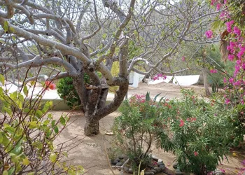 Casa Pajaros hotel thumbnail 2
