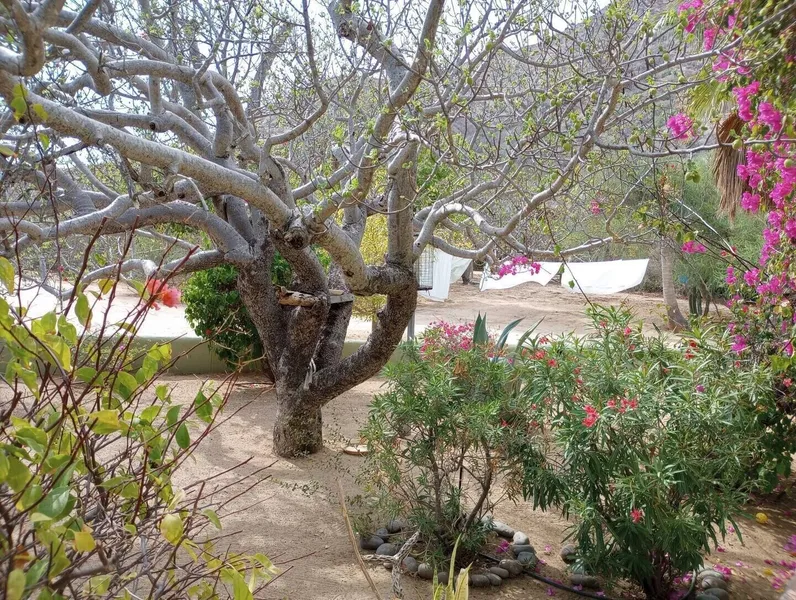 Casa Pajaros hotel detail image 2