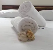 Casa Candra hotel detail image 4