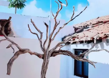 Kasa Morelos Hotel Boutique hotel thumbnail 7