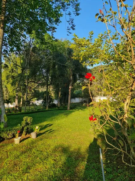 Jardin de los Anturios, Xico hotel detail image 2