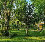 Jardin de los Anturios, Xico hotel detail image 3