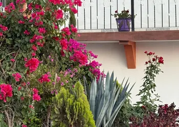 Hotel la Concha hotel thumbnail 5