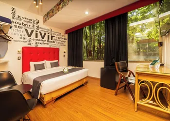 Collection O Casa Anzures Thematic, Mexico City hotel thumbnail 6