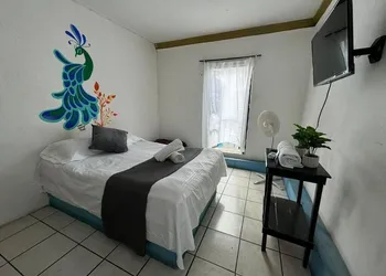Hotel El Mexicano Tepic Centro hotel thumbnail 4