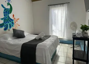 Hotel El Mexicano Tepic Centro hotel thumbnail 5