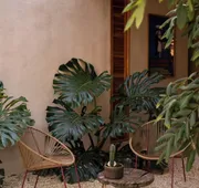 Galopina hotel detail image 7
