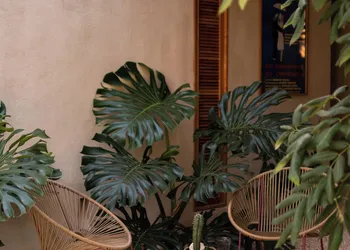 Galopina hotel thumbnail 7