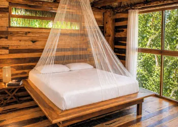 Treehouse Tulum H2Ojos hotel thumbnail 2