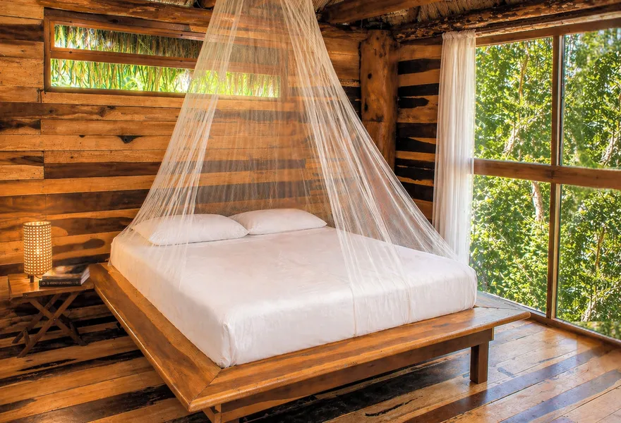 Treehouse Tulum H2Ojos hotel detail image 2