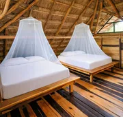 Treehouse Tulum H2Ojos hotel detail image 3