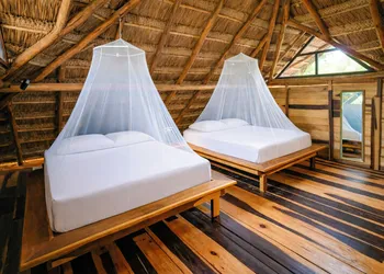 Treehouse Tulum H2Ojos hotel thumbnail 3