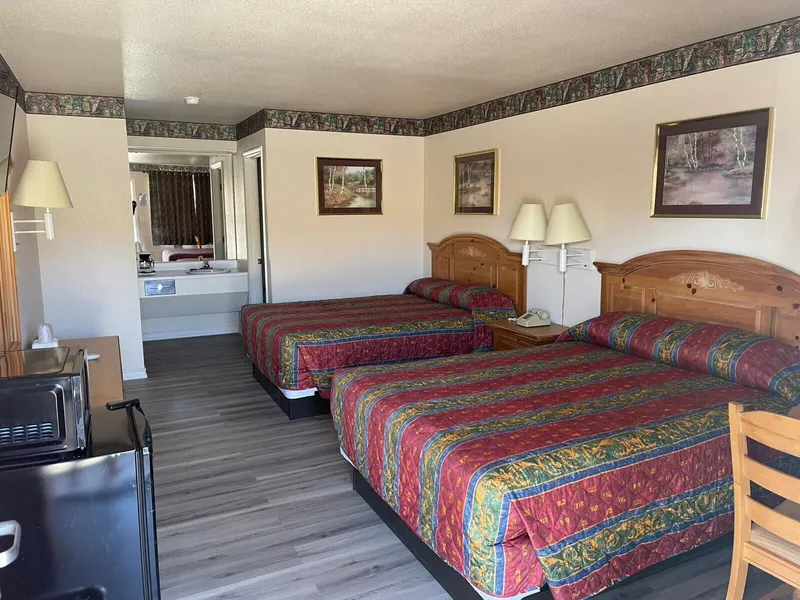 Lakeside Inn & Suites by OYO Mathis I 37 hotel detail image 6