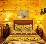 Bigfoot Lodge Room Three hotel detail image 5