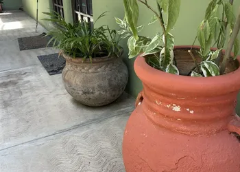 Botanical Studios Sayulita hotel thumbnail 2