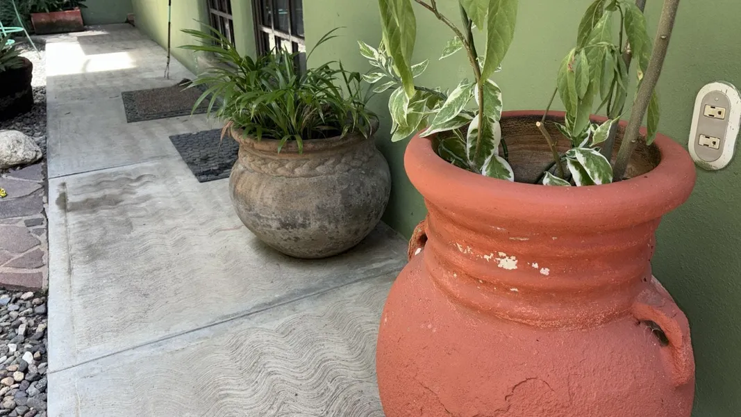 Botanical Studios Sayulita hotel detail image 2