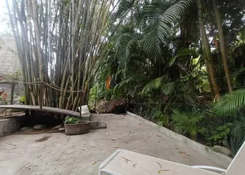 Botanical Studios Sayulita hotel thumbnail 4