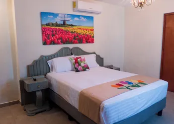 Hotel Boutique Flores y Gemas hotel thumbnail 6