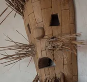 Casa Coyote Holbox hotel detail image 7