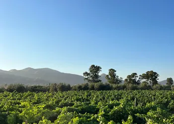 Valle Soléa hotel thumbnail 6