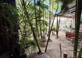 Hippie Chit Jungle Hotel hotel thumbnail 3