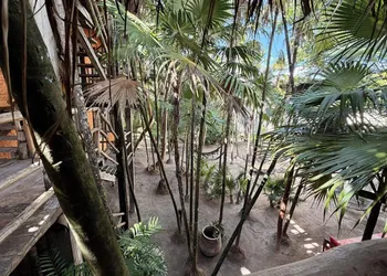 Hippie Chit Jungle Hotel hotel thumbnail 4