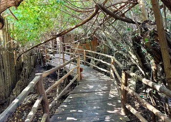 Hippie Chit Jungle Hotel hotel thumbnail 8