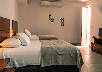 Zoren hotel thumbnail 7