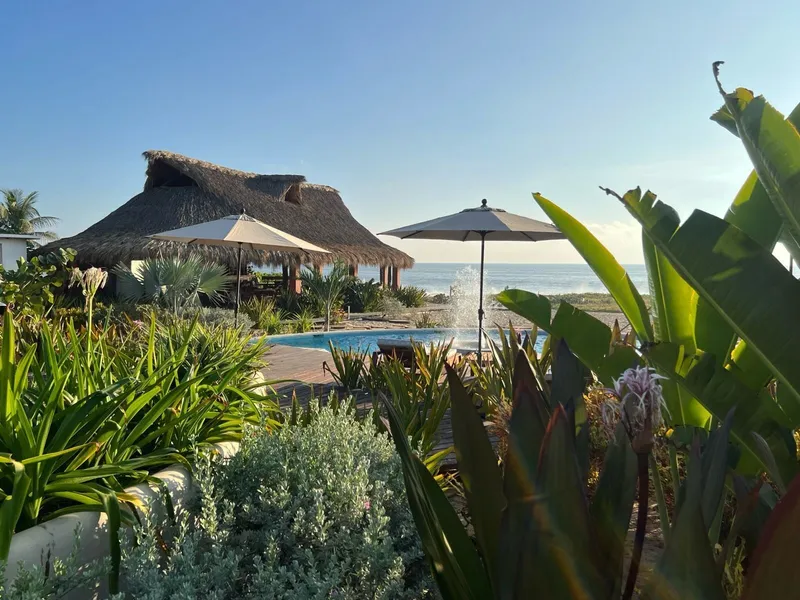 Lú Veé Oasis hotel detail image 6